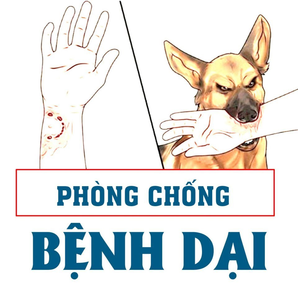 Khuyến cáo và Thông điệp phòng, chống bệnh Dại